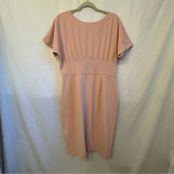 Antonio Melani Blush Pink Pleated Waist Sheath Dress | Size‎ 14 - Picture 2 of 5